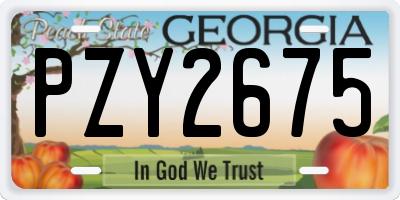 GA license plate PZY2675