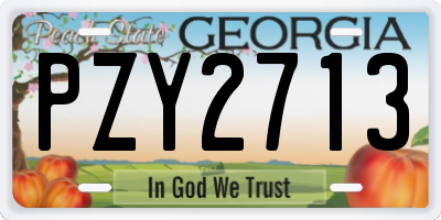 GA license plate PZY2713