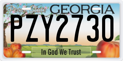 GA license plate PZY2730