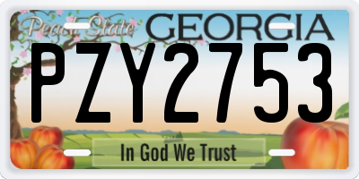 GA license plate PZY2753