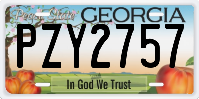 GA license plate PZY2757