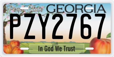 GA license plate PZY2767