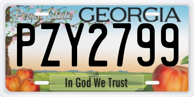 GA license plate PZY2799