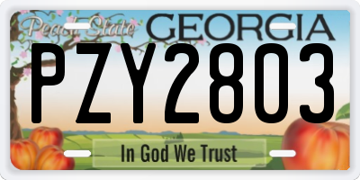 GA license plate PZY2803