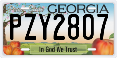 GA license plate PZY2807