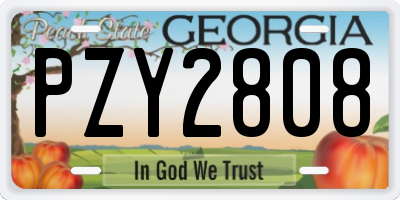 GA license plate PZY2808