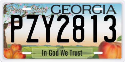 GA license plate PZY2813