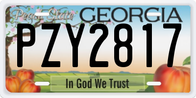GA license plate PZY2817