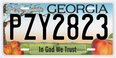 GA license plate PZY2823