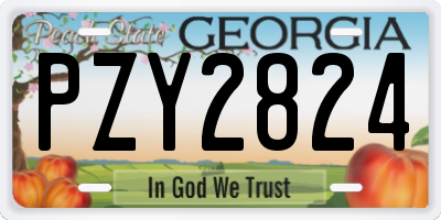 GA license plate PZY2824
