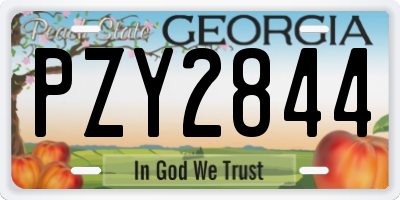 GA license plate PZY2844