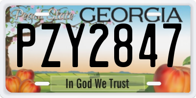 GA license plate PZY2847