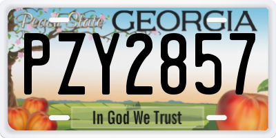 GA license plate PZY2857