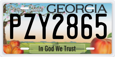 GA license plate PZY2865