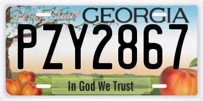 GA license plate PZY2867
