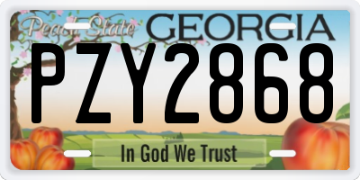 GA license plate PZY2868