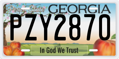 GA license plate PZY2870