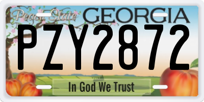 GA license plate PZY2872