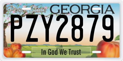 GA license plate PZY2879