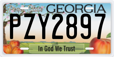 GA license plate PZY2897