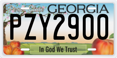 GA license plate PZY2900