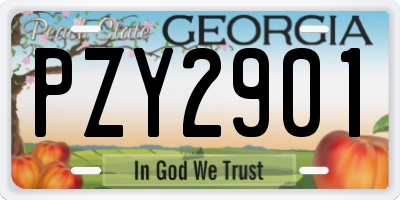 GA license plate PZY2901