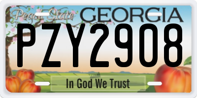 GA license plate PZY2908