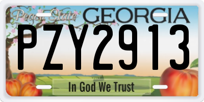 GA license plate PZY2913
