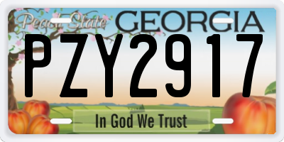 GA license plate PZY2917