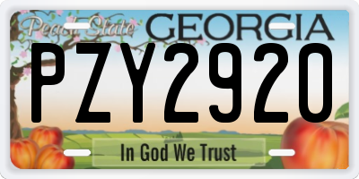 GA license plate PZY2920