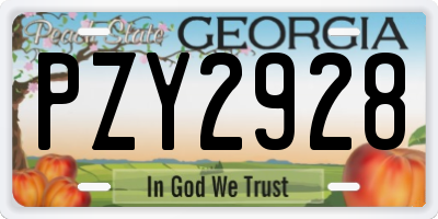 GA license plate PZY2928