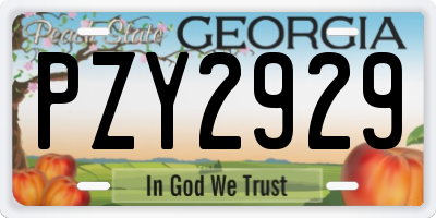 GA license plate PZY2929
