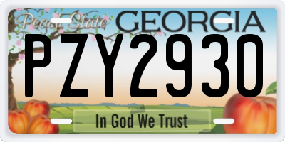GA license plate PZY2930