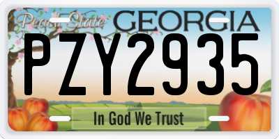 GA license plate PZY2935