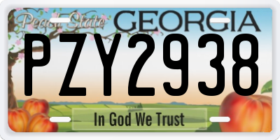 GA license plate PZY2938