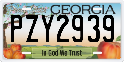GA license plate PZY2939