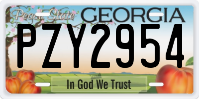 GA license plate PZY2954