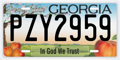 GA license plate PZY2959