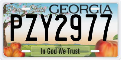 GA license plate PZY2977