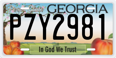 GA license plate PZY2981