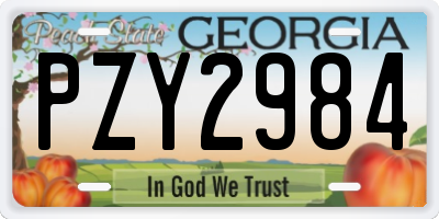 GA license plate PZY2984