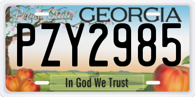 GA license plate PZY2985