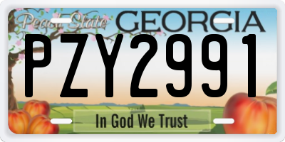 GA license plate PZY2991