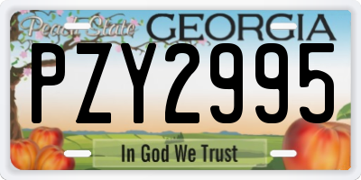 GA license plate PZY2995