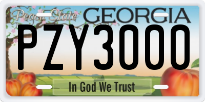 GA license plate PZY3000