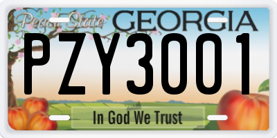 GA license plate PZY3001