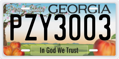 GA license plate PZY3003