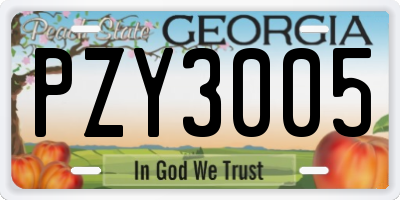 GA license plate PZY3005