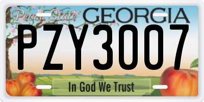 GA license plate PZY3007