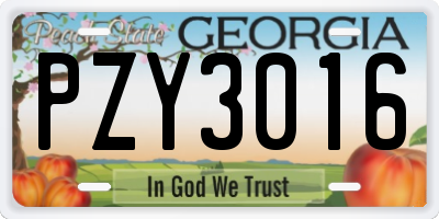 GA license plate PZY3016